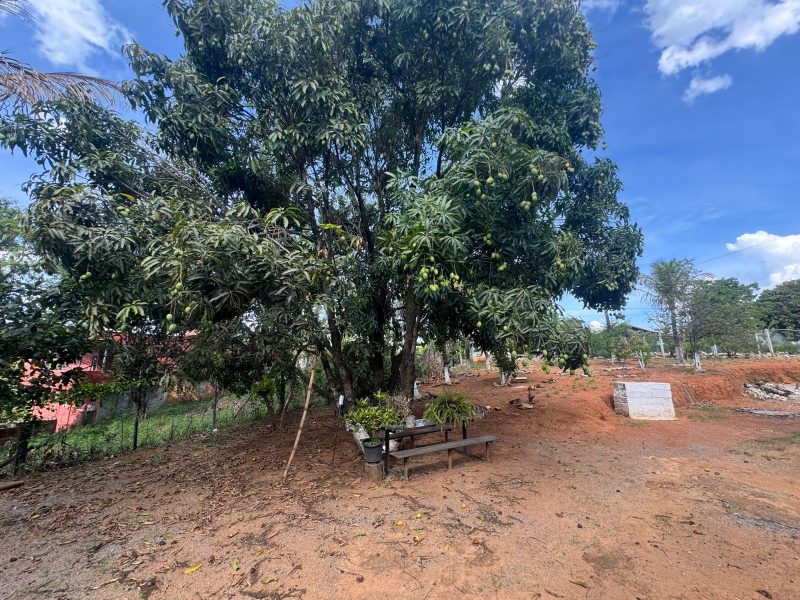 WhatsApp-Image-2025-12-08-at-10.01.53-4